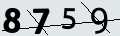 verifycode